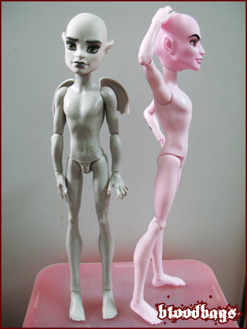 A bit too slim with long limbs; chest thick though.